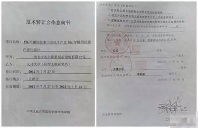 雨中筑夢，傘下花開——一場別開生面的畢業典禮與知識傳遞的華章
