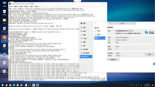 Linux x86/ARM 麒麟V10安裝DBeaver 21.3通用數據庫管理工具與SQL客戶端指南